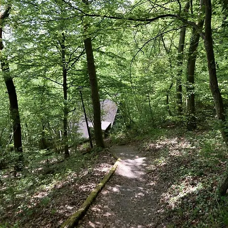 木屋 The Forest