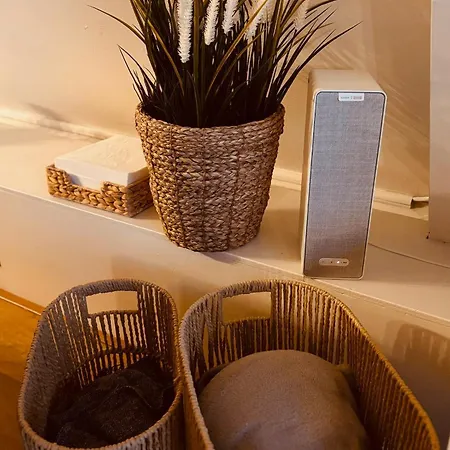 木屋 The Forest 杜柏