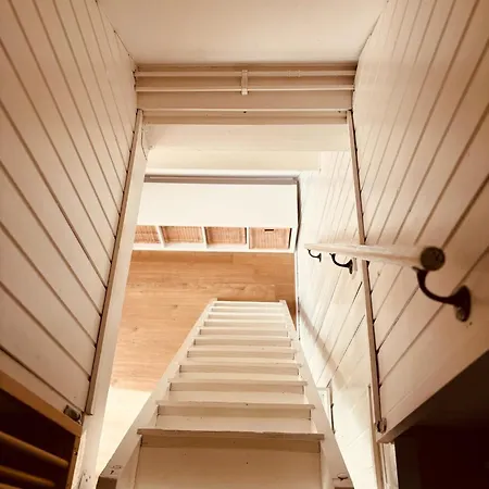 The Forest Дюрбюи