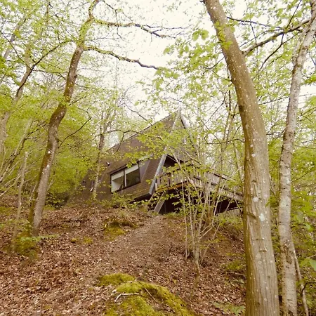 The Forest Chalet