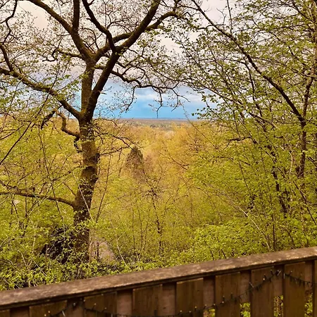 シャレー The Forest デュルビュイ