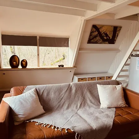 The Forest Chalet