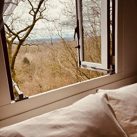 The Forest シャレー *