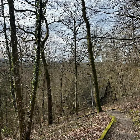 The Forest *