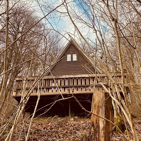 The Forest 木屋 杜柏