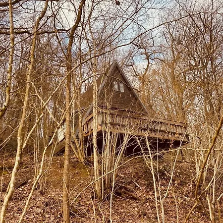 The Forest Chalet