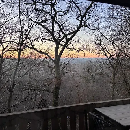 シャレー The Forest *