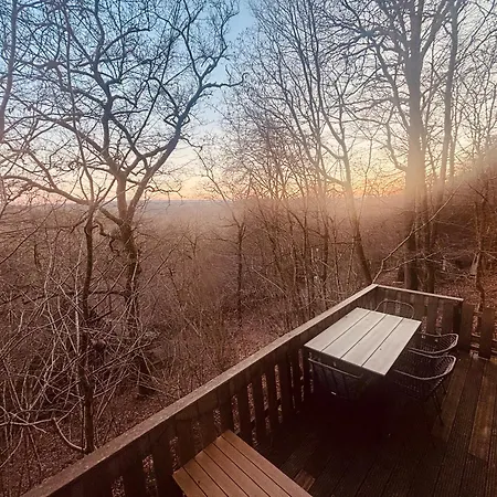 The Forest *