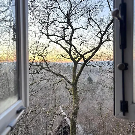 The Forest