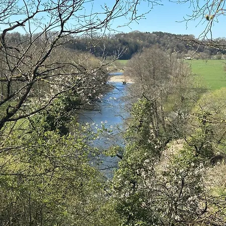 シャレー The Forest デュルビュイ