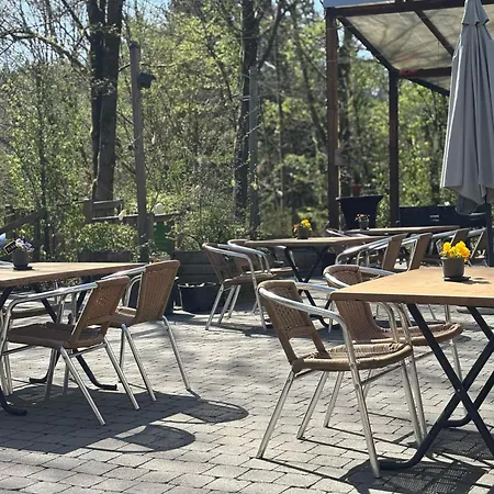 The Forest Chalet