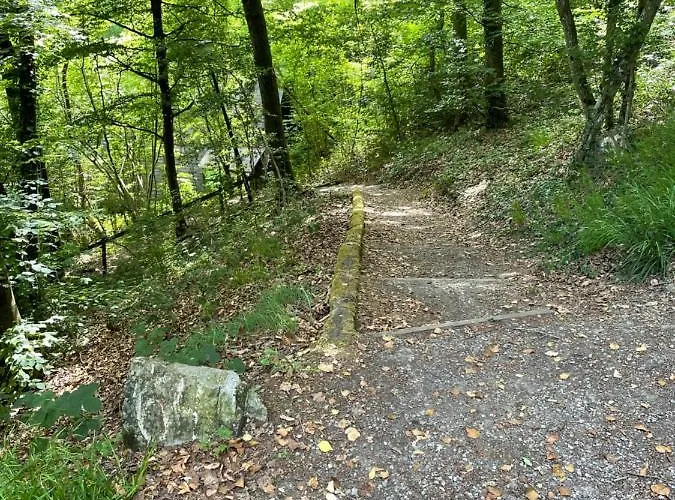 The Forest Chalé Durbuy